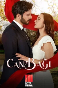 Струны любви